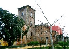 Torre Mocha