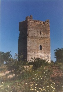 Torre Don Lucas
